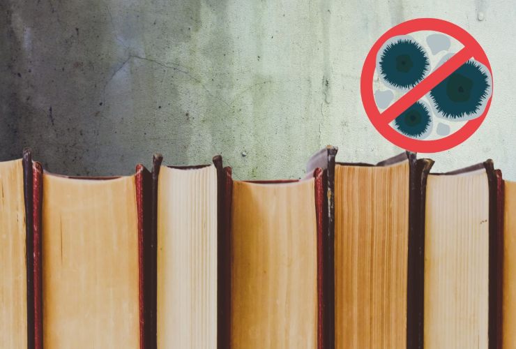 Sistema per togliere la muffa dai libri